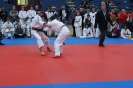 Judo