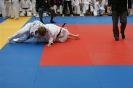 Judo