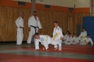 Trainingstag mit Andreas Tölzer