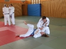 Judo