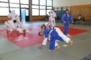 Judo