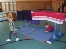 Mehren_2010_29