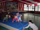 Mehren_2010_52