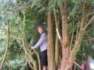 Veranstaltungen