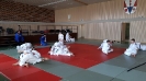 Judofreizeit Bettenfeld 2016_1