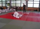 Judosafari 2008