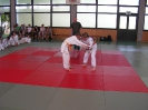 Judosafari 2008