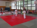 Judosafari 2008