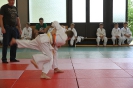 Judosafari 2012