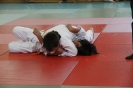 Judosafari 2012