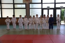 Judosafari 2012