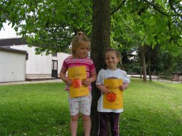 sammelsurium_15_20140617_1710881894