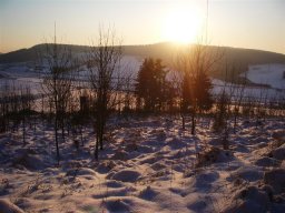 weihnachten_2009_13_20140617_1380582867